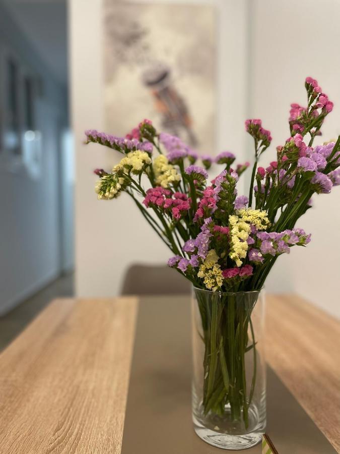 Armonia Porta Remounda Apartment Korfu Dış mekan fotoğraf